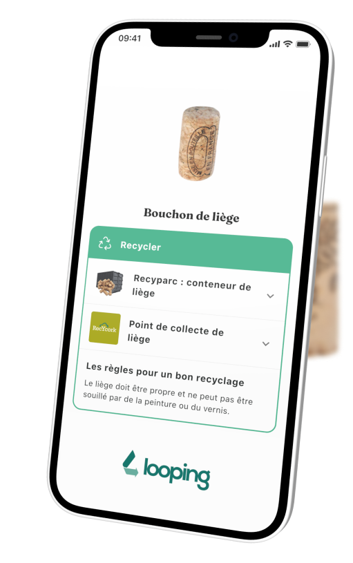 Smartphone scanning product
